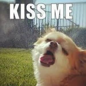 Meet your Posher, Bonnie